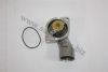 AUTOMEGA 1013380084 Thermostat, coolant
